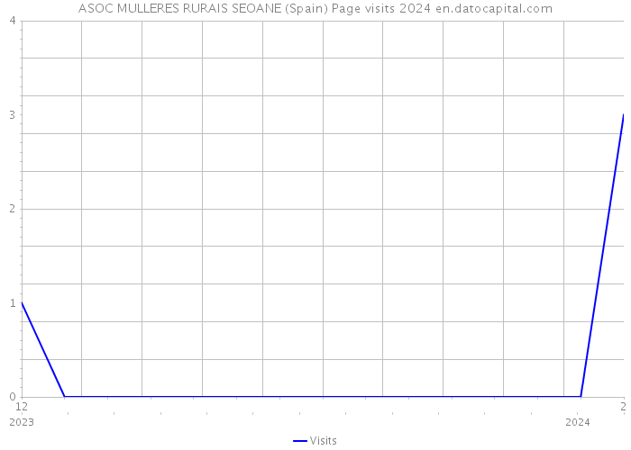 ASOC MULLERES RURAIS SEOANE (Spain) Page visits 2024 