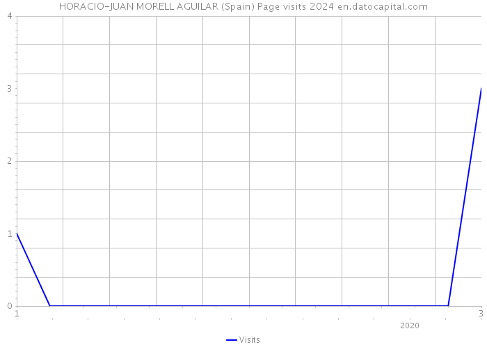 HORACIO-JUAN MORELL AGUILAR (Spain) Page visits 2024 