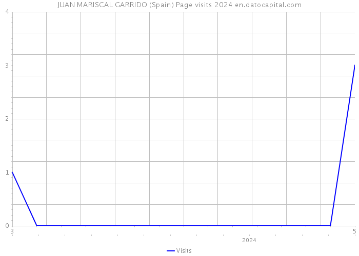 JUAN MARISCAL GARRIDO (Spain) Page visits 2024 