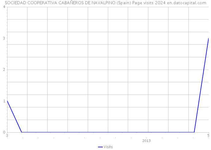 SOCIEDAD COOPERATIVA CABAÑEROS DE NAVALPINO (Spain) Page visits 2024 