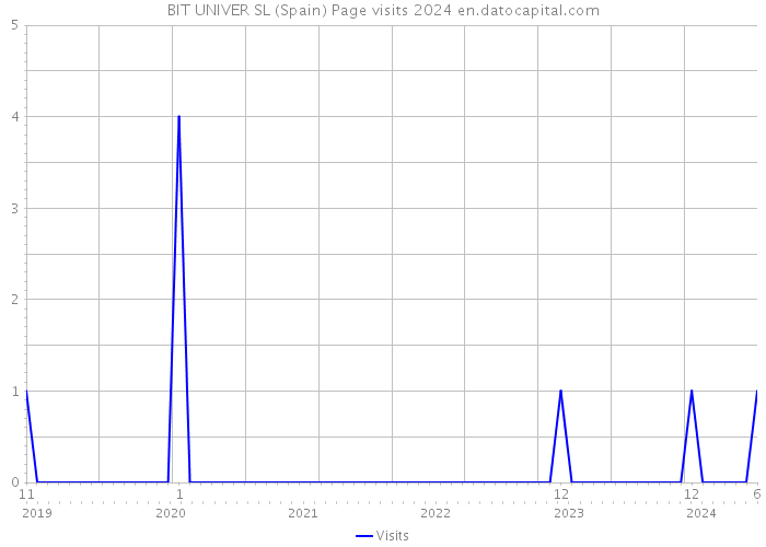 BIT UNIVER SL (Spain) Page visits 2024 