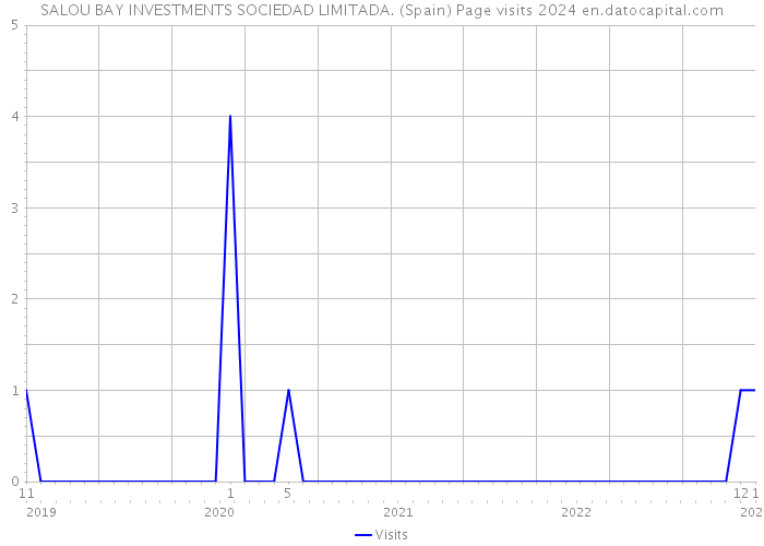 SALOU BAY INVESTMENTS SOCIEDAD LIMITADA. (Spain) Page visits 2024 