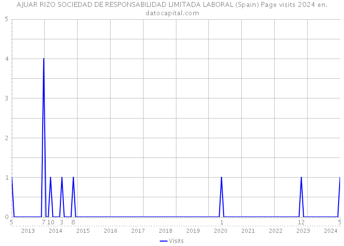 AJUAR RIZO SOCIEDAD DE RESPONSABILIDAD LIMITADA LABORAL (Spain) Page visits 2024 