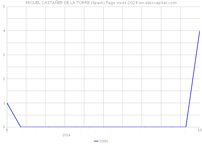 MIGUEL CASTAÑER DE LA TORRE (Spain) Page visits 2024 