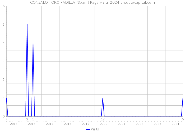 GONZALO TORO PADILLA (Spain) Page visits 2024 