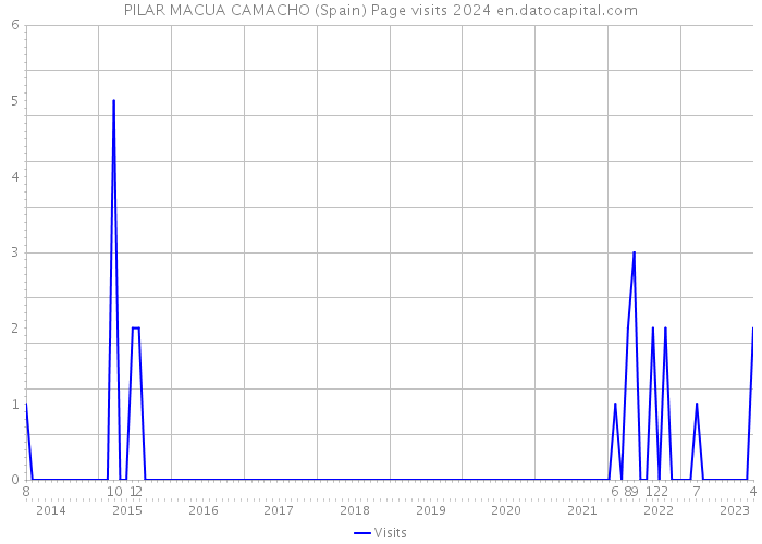 PILAR MACUA CAMACHO (Spain) Page visits 2024 