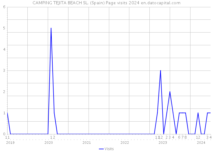 CAMPING TEJITA BEACH SL. (Spain) Page visits 2024 