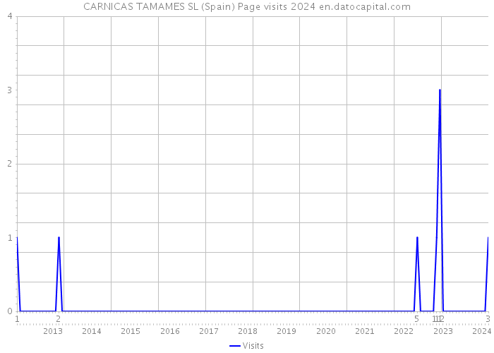 CARNICAS TAMAMES SL (Spain) Page visits 2024 