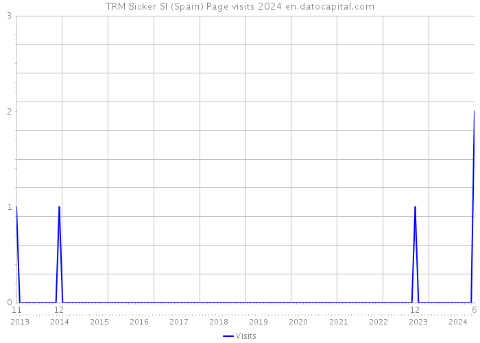 TRM Bicker Sl (Spain) Page visits 2024 