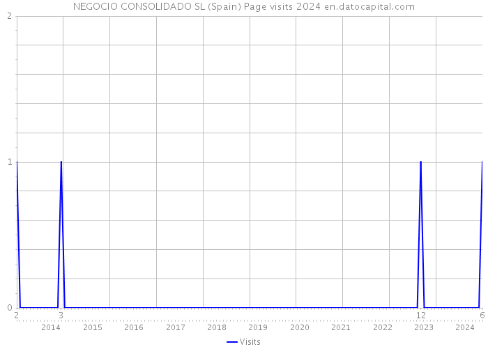 NEGOCIO CONSOLIDADO SL (Spain) Page visits 2024 