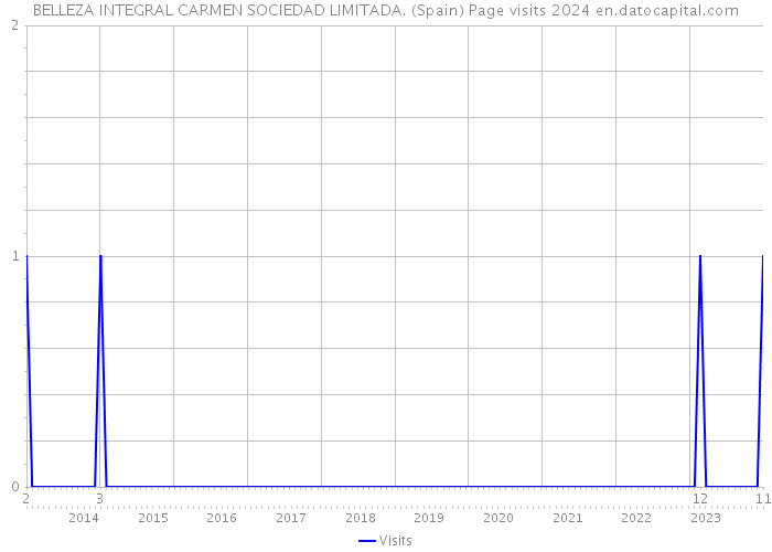 BELLEZA INTEGRAL CARMEN SOCIEDAD LIMITADA. (Spain) Page visits 2024 