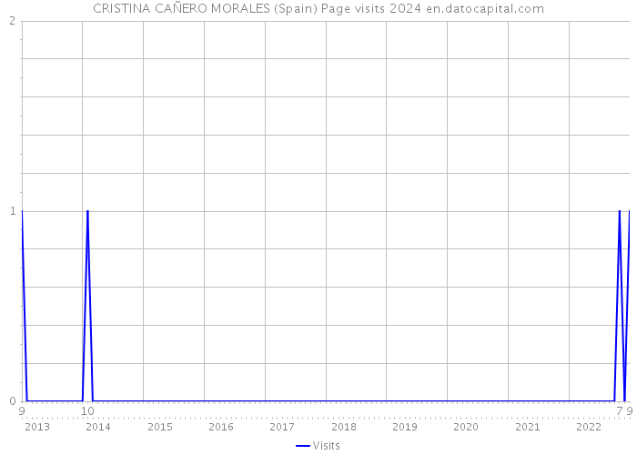 CRISTINA CAÑERO MORALES (Spain) Page visits 2024 