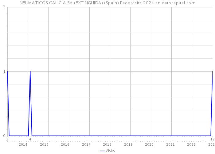 NEUMATICOS GALICIA SA (EXTINGUIDA) (Spain) Page visits 2024 