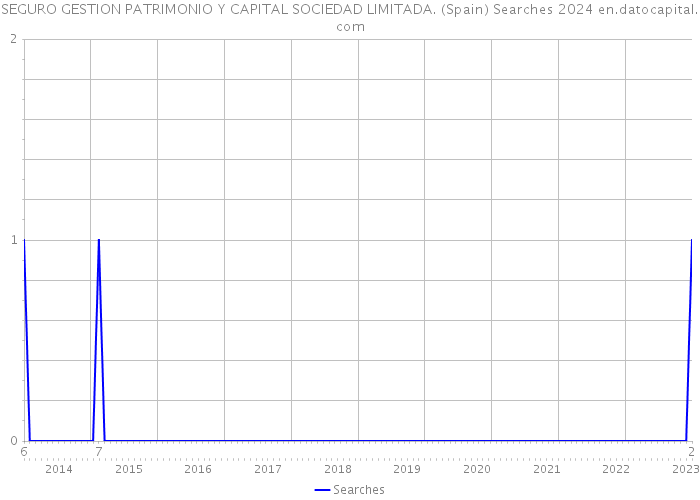 SEGURO GESTION PATRIMONIO Y CAPITAL SOCIEDAD LIMITADA. (Spain) Searches 2024 