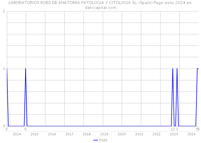 LABORATORIOS ROES DE ANATOMIA PATOLOGIA Y CITOLOGIA SL. (Spain) Page visits 2024 