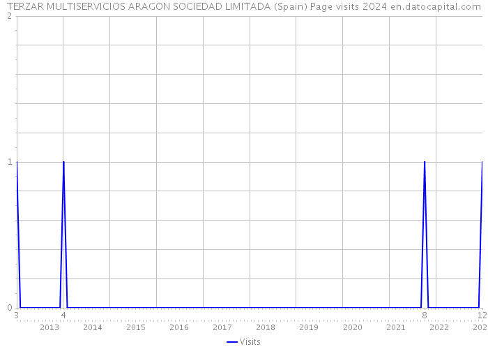 TERZAR MULTISERVICIOS ARAGON SOCIEDAD LIMITADA (Spain) Page visits 2024 