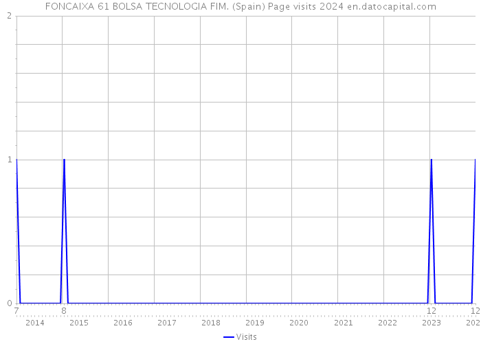 FONCAIXA 61 BOLSA TECNOLOGIA FIM. (Spain) Page visits 2024 