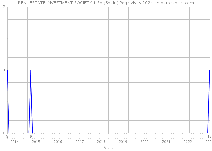 REAL ESTATE INVESTMENT SOCIETY 1 SA (Spain) Page visits 2024 