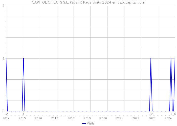 CAPITOLIO FLATS S.L. (Spain) Page visits 2024 