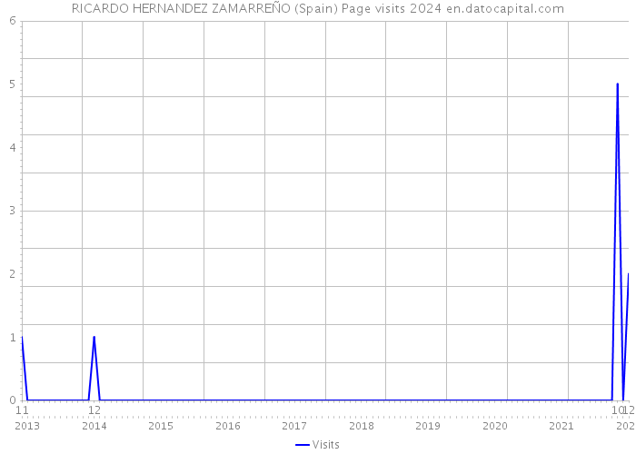 RICARDO HERNANDEZ ZAMARREÑO (Spain) Page visits 2024 