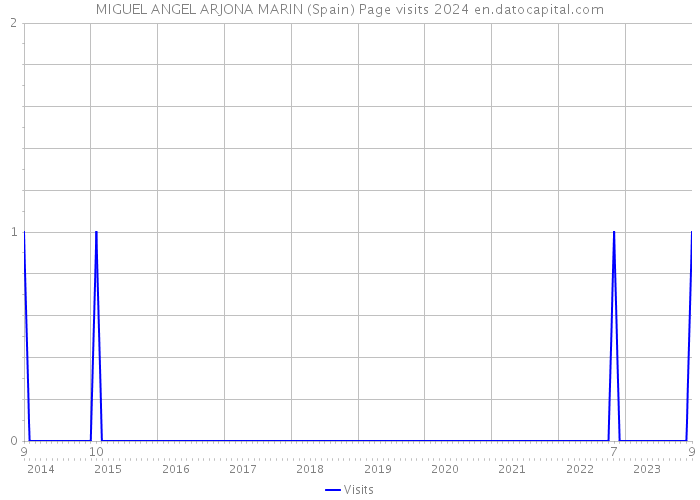 MIGUEL ANGEL ARJONA MARIN (Spain) Page visits 2024 