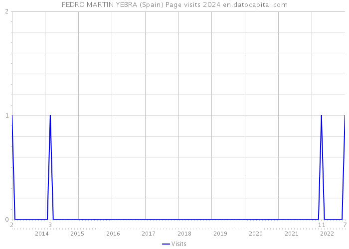 PEDRO MARTIN YEBRA (Spain) Page visits 2024 