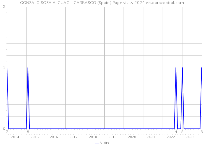 GONZALO SOSA ALGUACIL CARRASCO (Spain) Page visits 2024 