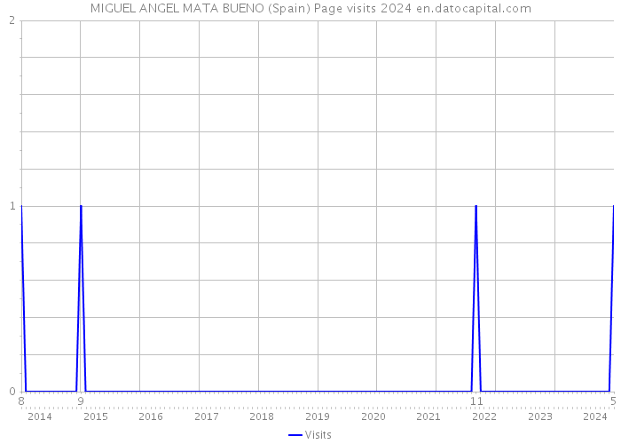 MIGUEL ANGEL MATA BUENO (Spain) Page visits 2024 