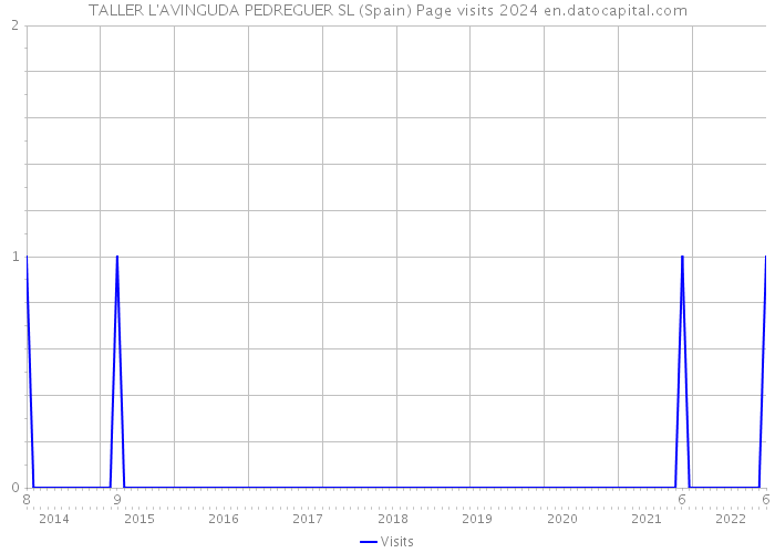 TALLER L'AVINGUDA PEDREGUER SL (Spain) Page visits 2024 