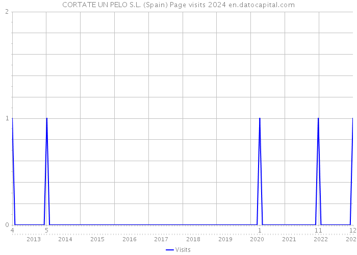 CORTATE UN PELO S.L. (Spain) Page visits 2024 