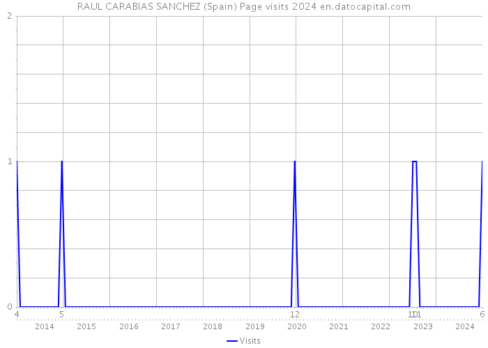 RAUL CARABIAS SANCHEZ (Spain) Page visits 2024 
