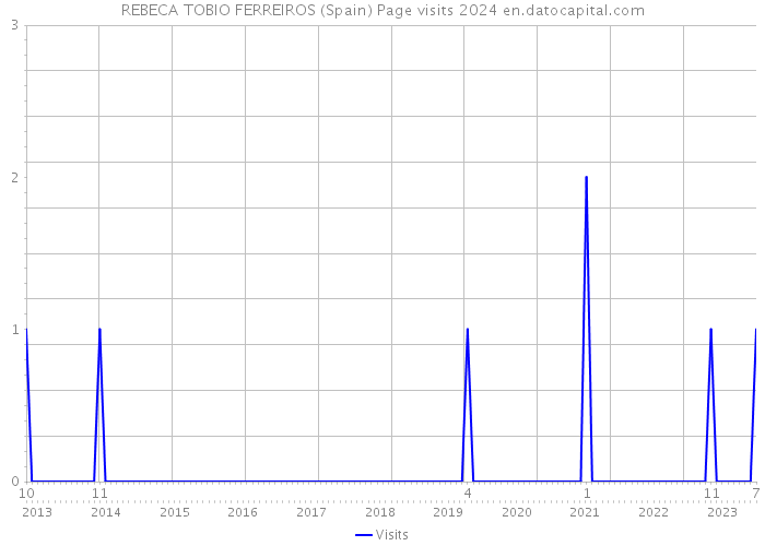REBECA TOBIO FERREIROS (Spain) Page visits 2024 