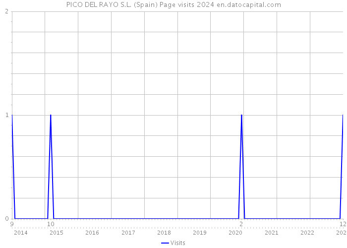 PICO DEL RAYO S.L. (Spain) Page visits 2024 