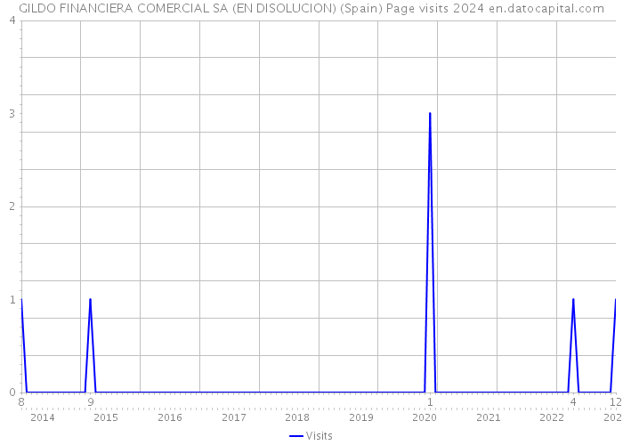 GILDO FINANCIERA COMERCIAL SA (EN DISOLUCION) (Spain) Page visits 2024 