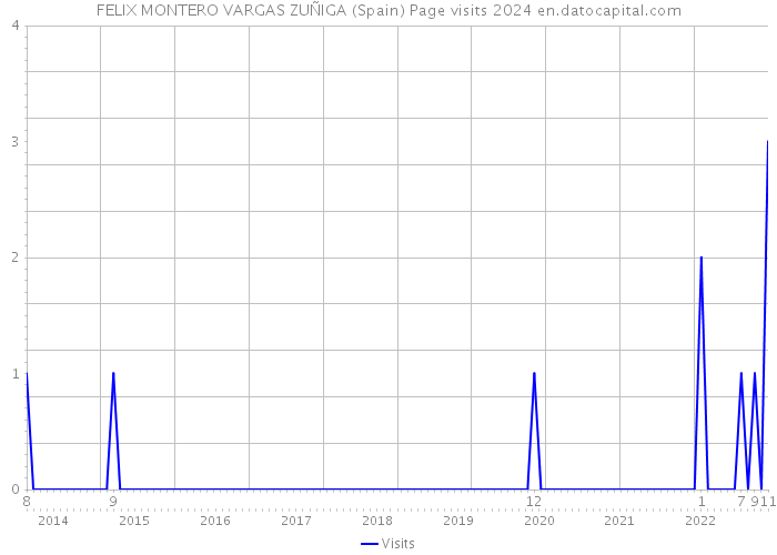 FELIX MONTERO VARGAS ZUÑIGA (Spain) Page visits 2024 