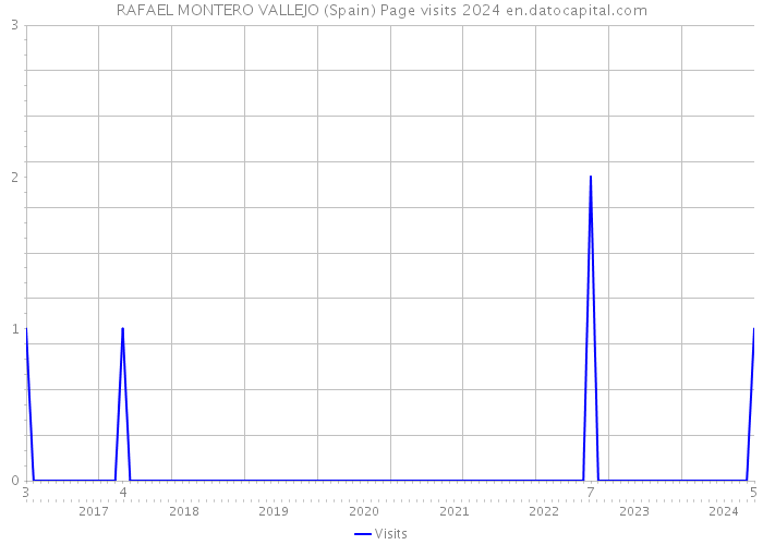 RAFAEL MONTERO VALLEJO (Spain) Page visits 2024 