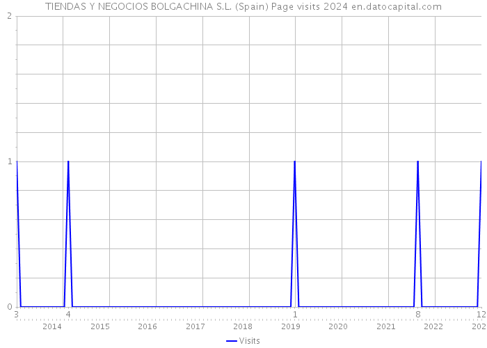 TIENDAS Y NEGOCIOS BOLGACHINA S.L. (Spain) Page visits 2024 