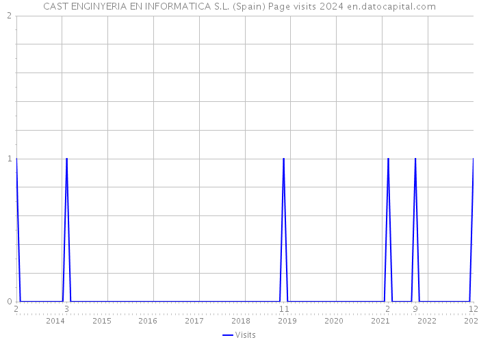 CAST ENGINYERIA EN INFORMATICA S.L. (Spain) Page visits 2024 