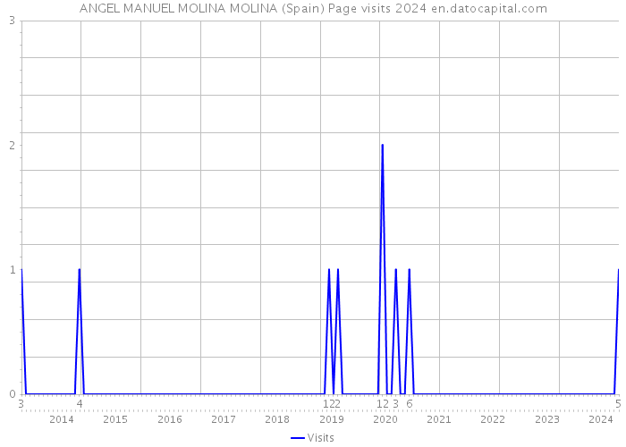 ANGEL MANUEL MOLINA MOLINA (Spain) Page visits 2024 