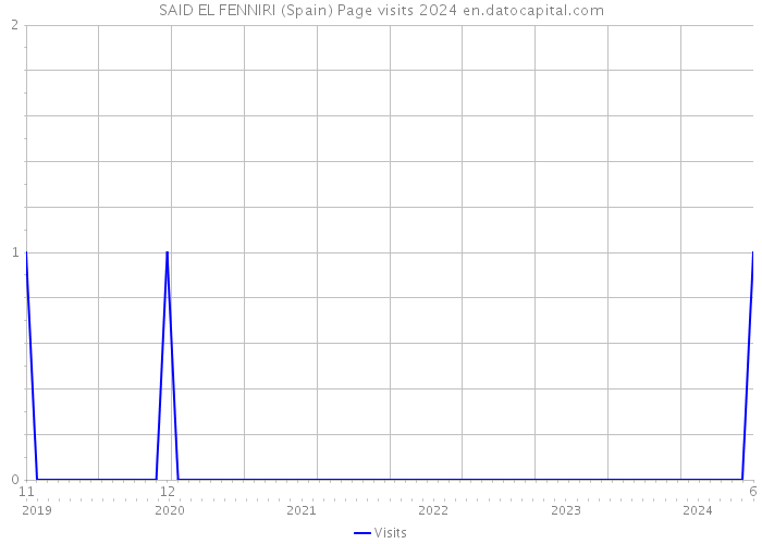 SAID EL FENNIRI (Spain) Page visits 2024 
