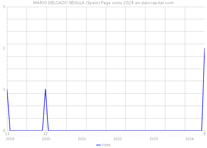MARIO DELGADO SEVILLA (Spain) Page visits 2024 
