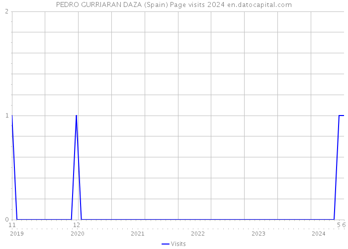 PEDRO GURRIARAN DAZA (Spain) Page visits 2024 