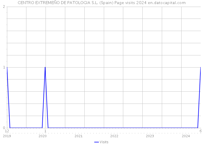 CENTRO EXTREMEÑO DE PATOLOGIA S.L. (Spain) Page visits 2024 