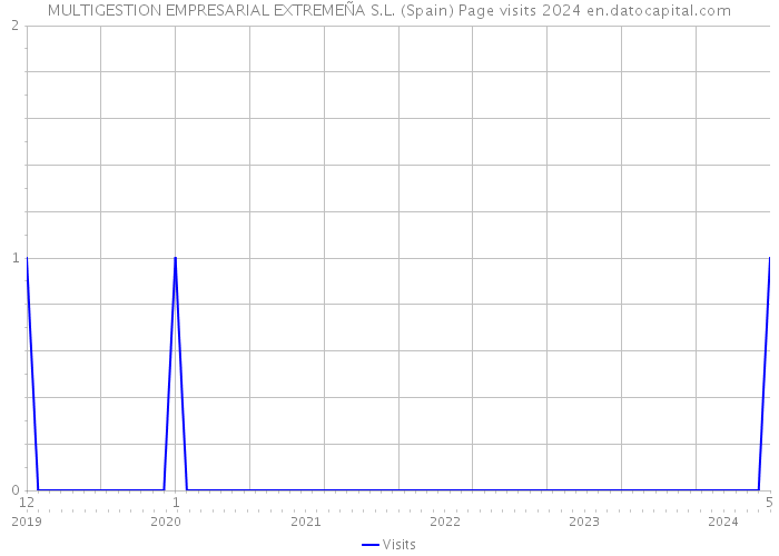 MULTIGESTION EMPRESARIAL EXTREMEÑA S.L. (Spain) Page visits 2024 