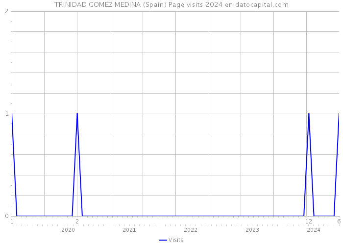 TRINIDAD GOMEZ MEDINA (Spain) Page visits 2024 