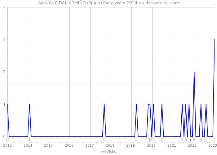 AMAYA PIDAL ARMIÑO (Spain) Page visits 2024 