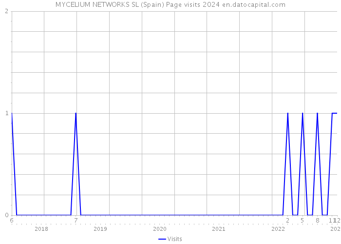 MYCELIUM NETWORKS SL (Spain) Page visits 2024 