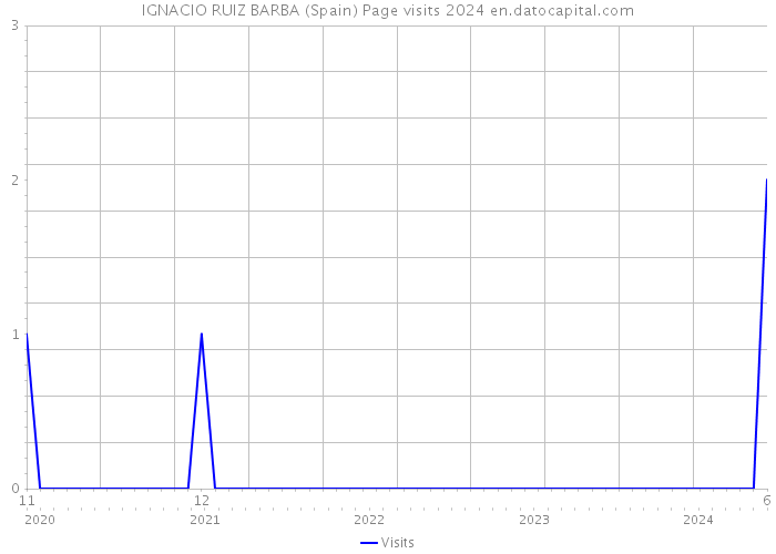 IGNACIO RUIZ BARBA (Spain) Page visits 2024 