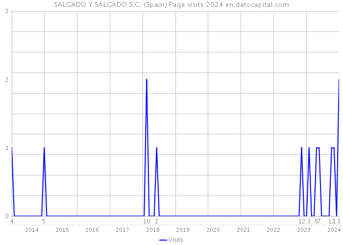 SALGADO Y SALGADO S.C. (Spain) Page visits 2024 