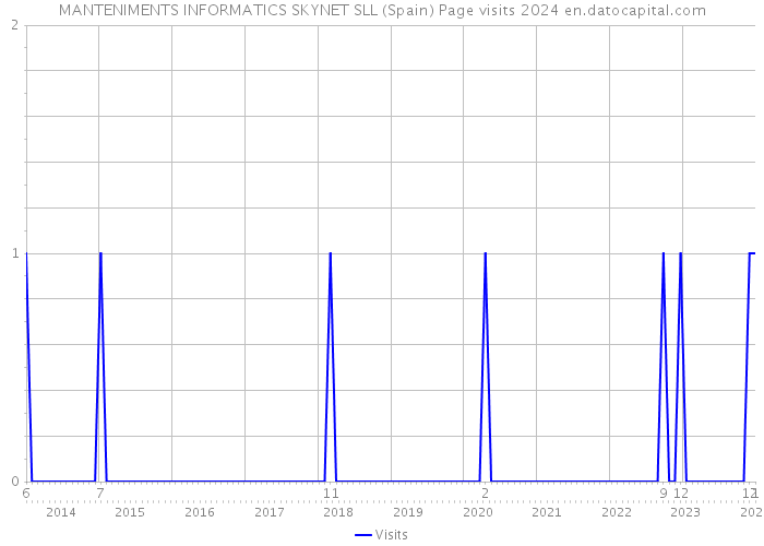 MANTENIMENTS INFORMATICS SKYNET SLL (Spain) Page visits 2024 